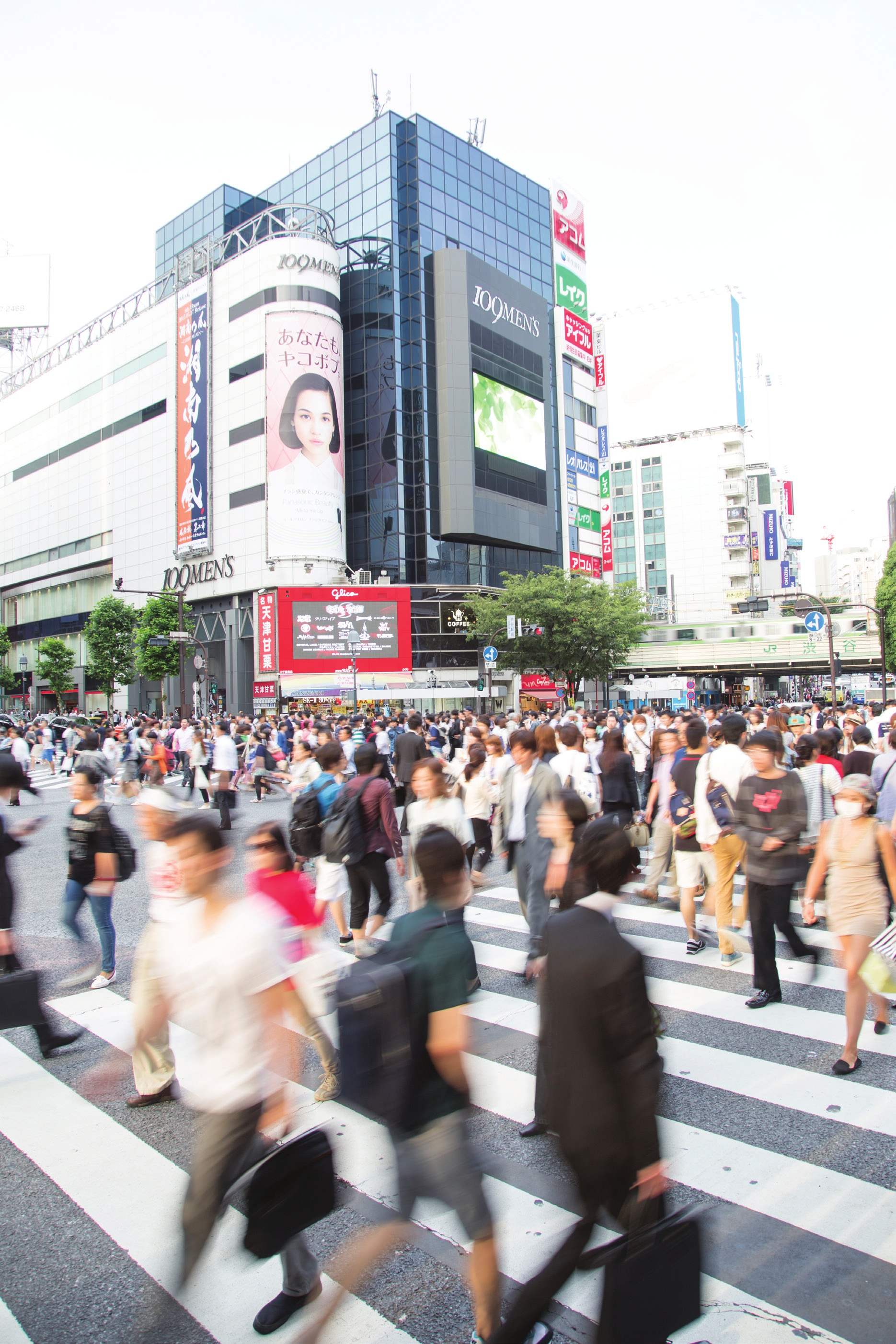 2015日本人气排行榜特集